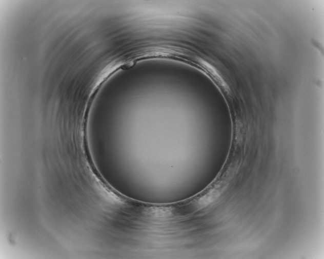 X0000099440802200805091311