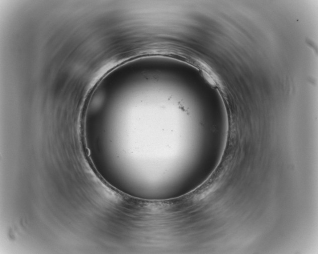 X0000099440803200805091311