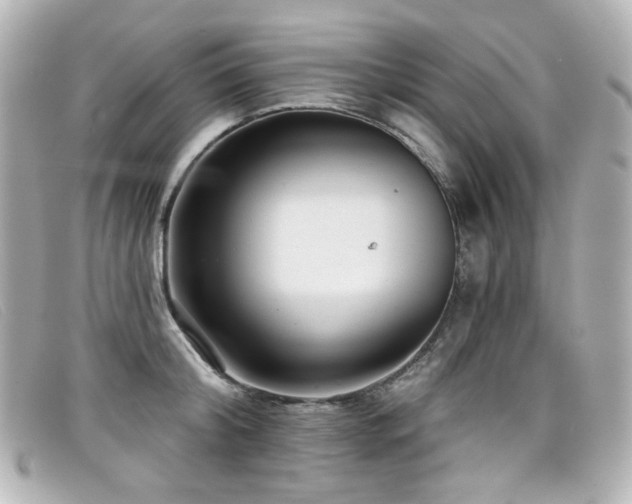 X0000099440804200805091311