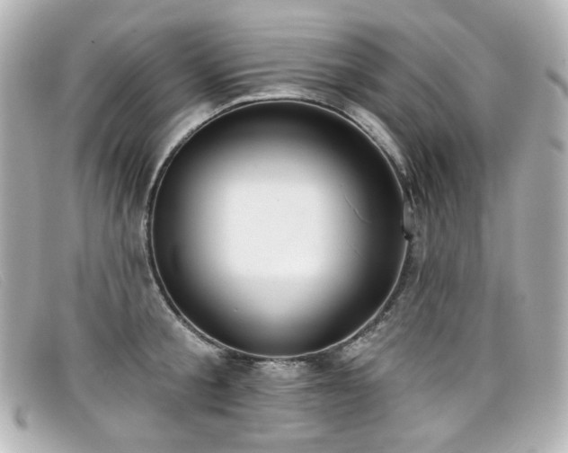 X0000099440805200805091311