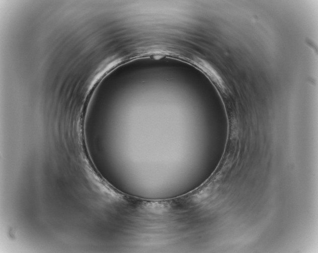 X0000099440806200805091311