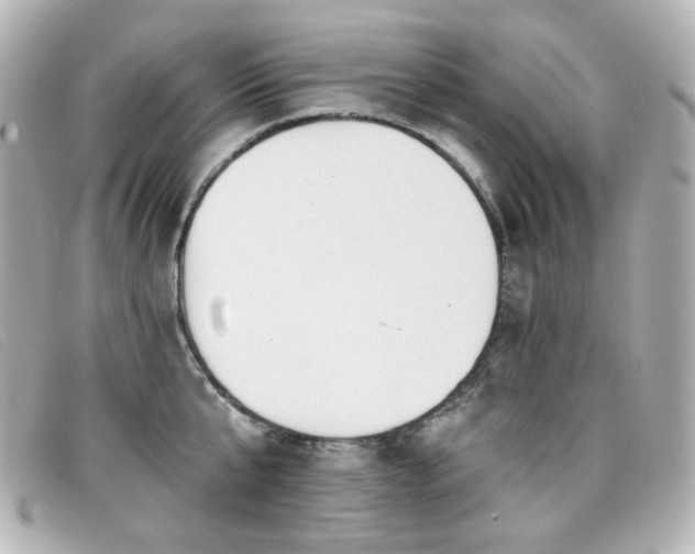 X0000099440807200805091311