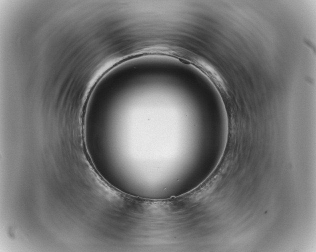 X0000099440808200805091311