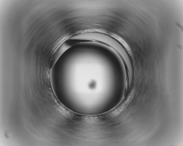 X0000099440809200805091311