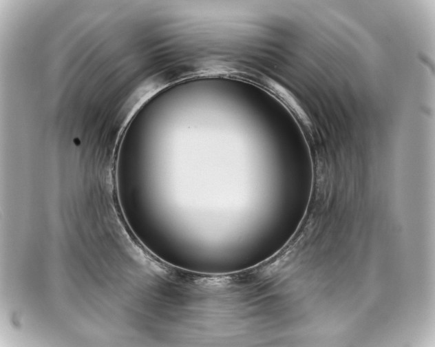 X0000099440810200805091311