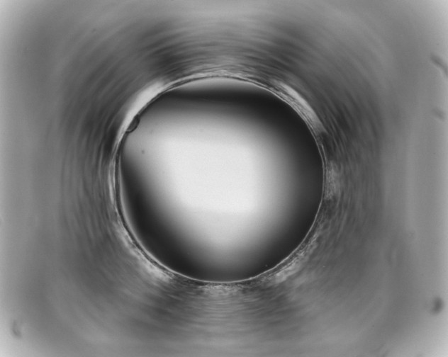 X0000099440812200805091311