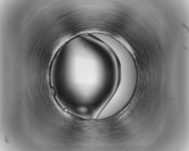 X0000099440813200805091311