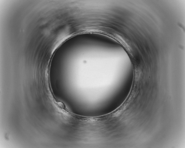 X0000099440814200805091311