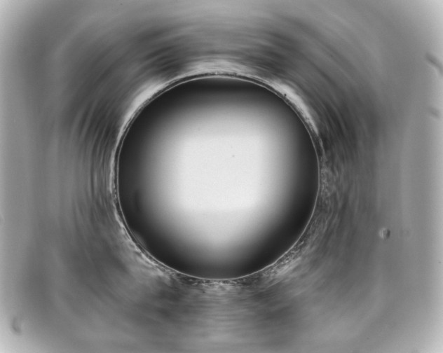 X0000099440815200805091311