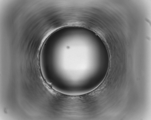 X0000099440816200805091311