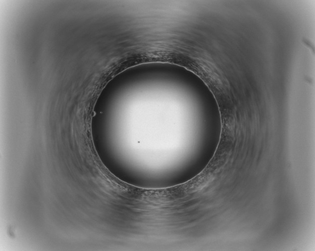 X0000099440817200805091310