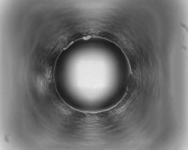 X0000099440818200805091310