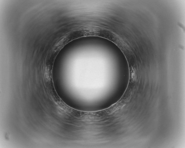 X0000099440819200805091310