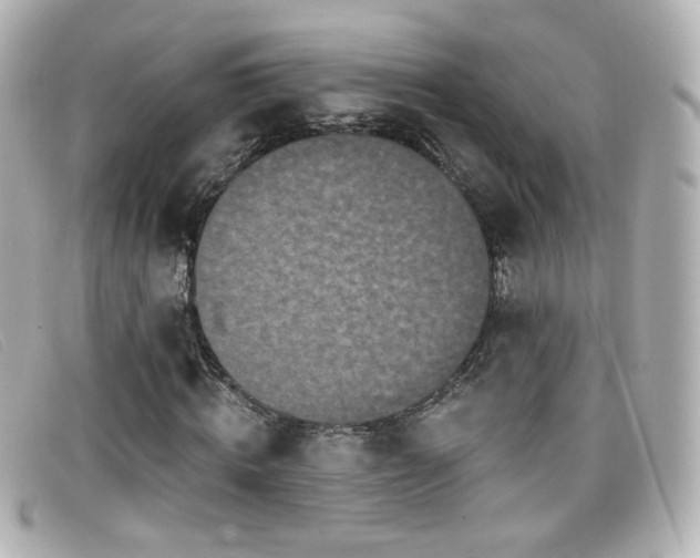 X0000099440820200805091310
