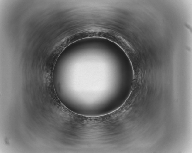 X0000099440821200805091310