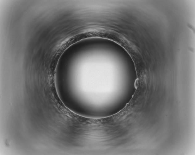 X0000099440822200805091310