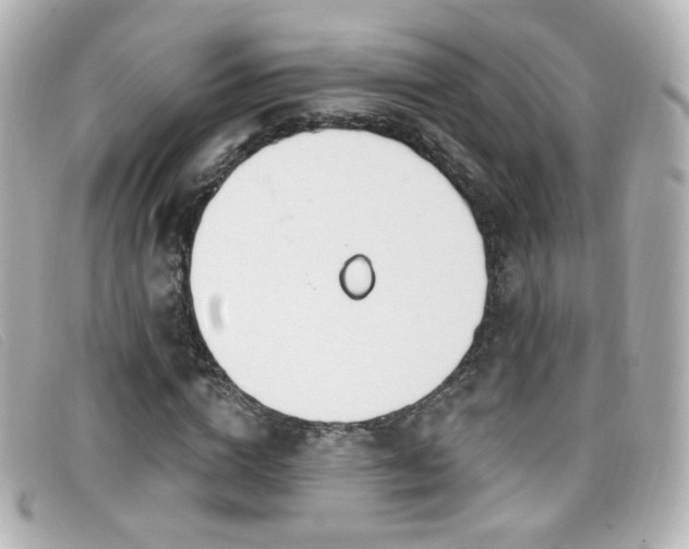 X0000099440824200805091310