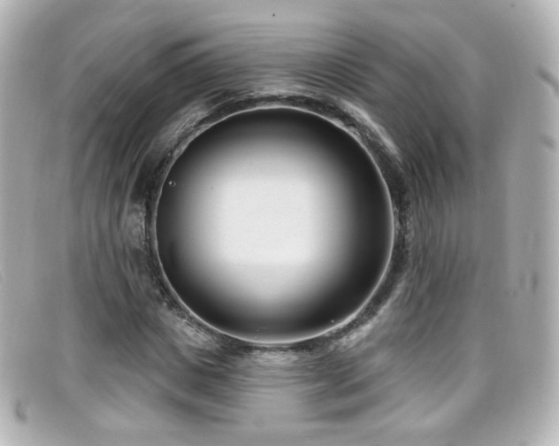 X0000099440825200805091310