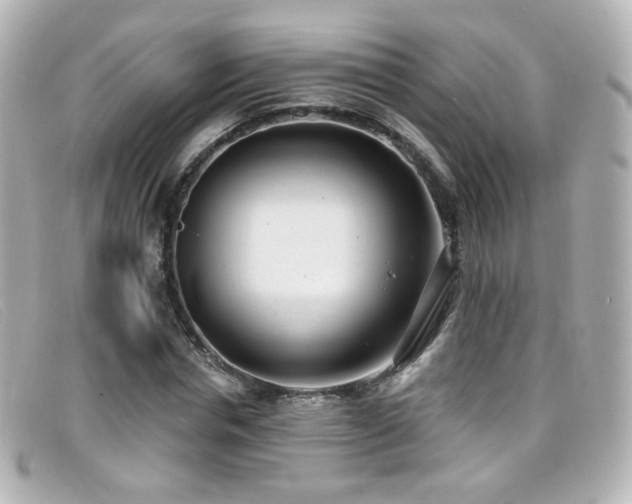 X0000099440826200805091310