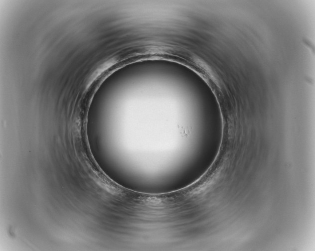 X0000099440827200805091310