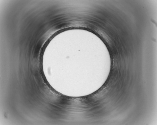 X0000099440828200805091310