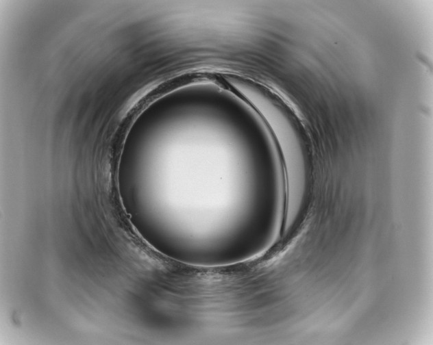 X0000099440829200805091310