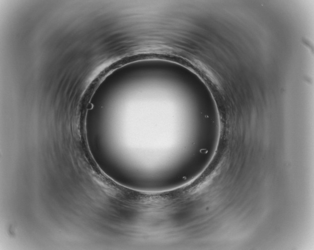 X0000099440830200805091310