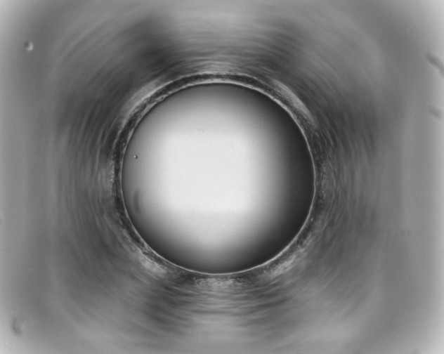 X0000099440831200805091310