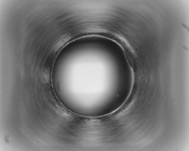 X0000099440833200805091310