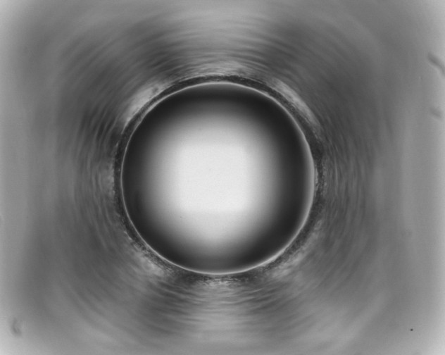 X0000099440834200805091310
