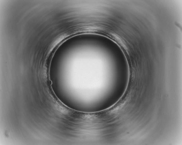X0000099440835200805091310