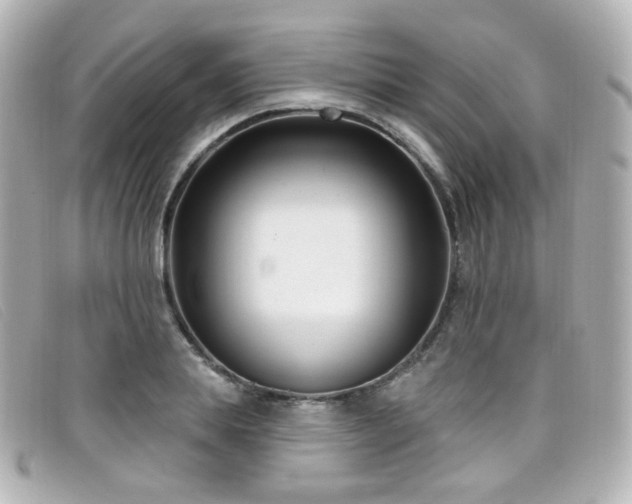 X0000099440839200805091310