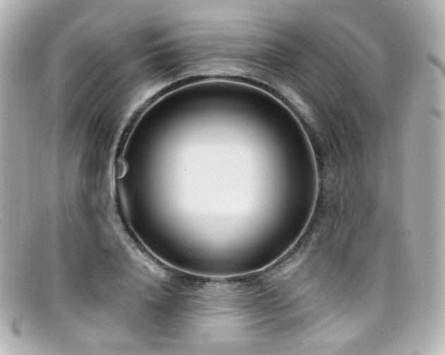 X0000099440840200805091310