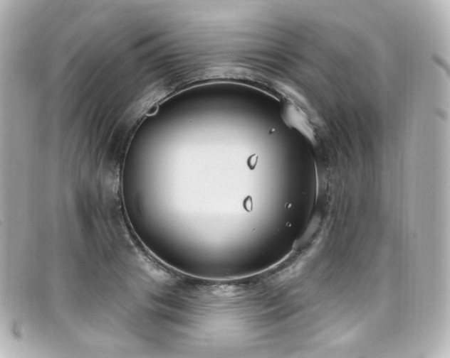 X0000099440841200805091310
