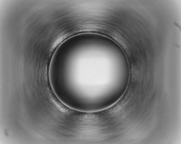 X0000099440842200805091310