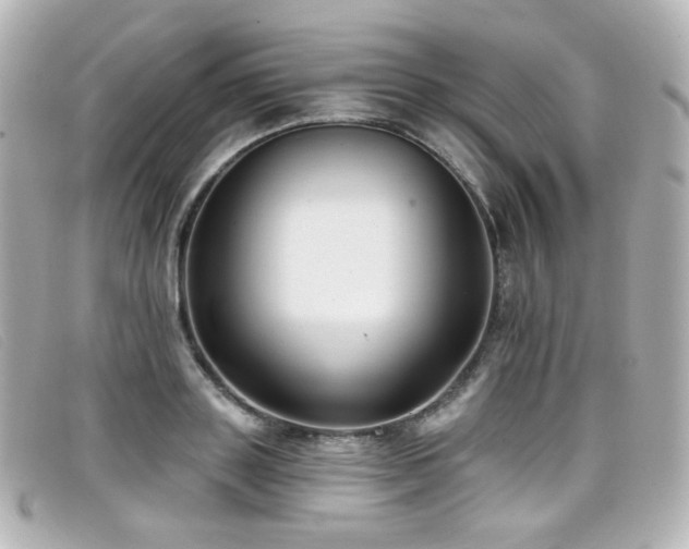 X0000099440843200805091310