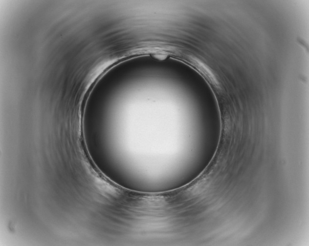 X0000099440844200805091311