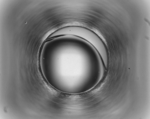 X0000099440845200805091311