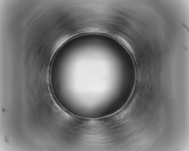 X0000099440847200805091311
