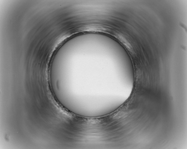 X0000099440848200805091311