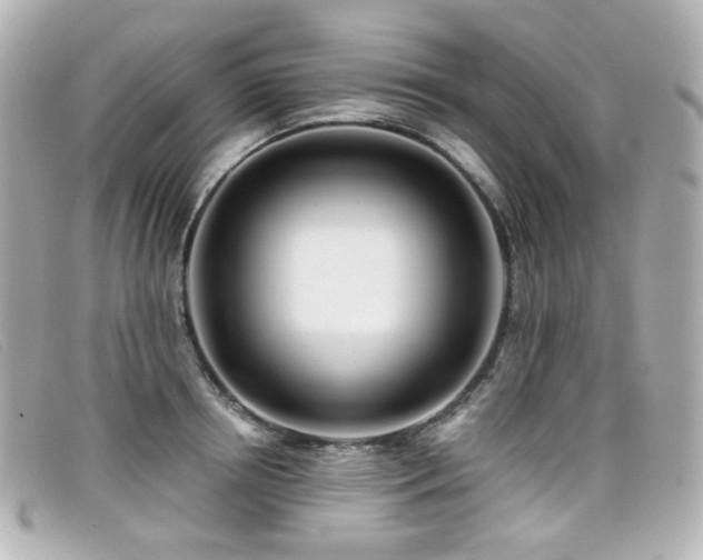 X0000099440850200805091311