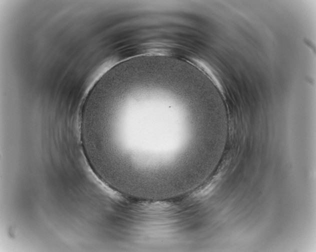 X0000099440851200805091311