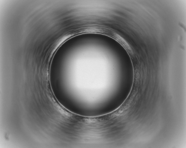 X0000099440852200805091311