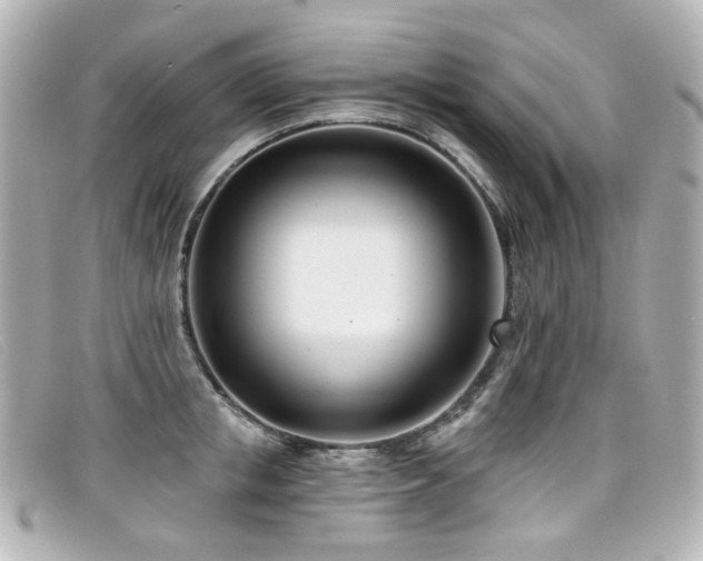 X0000099440853200805091311