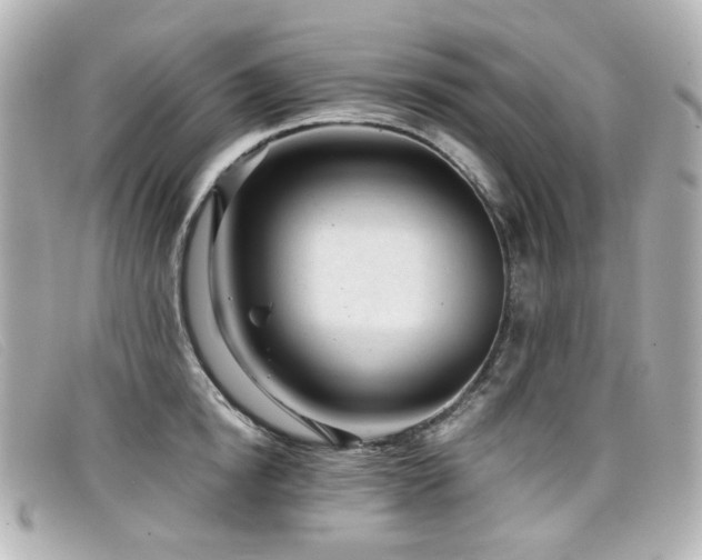 X0000099440854200805091311