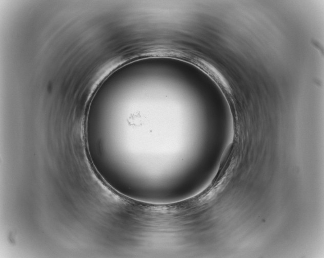 X0000099440855200805091311