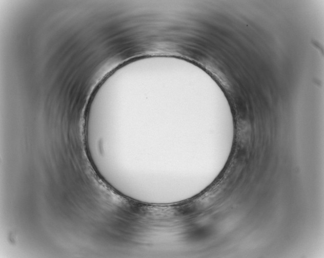 X0000099440856200805091311