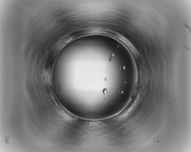 X0000099440857200805091311