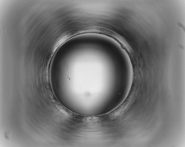 X0000099440858200805091311