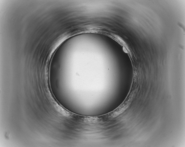 X0000099440859200805091311
